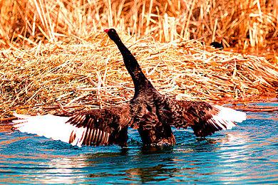 《捉鬼敢死队：灵魂释放》10月18日发售