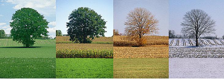 《黑暗之魂3》大型Mod远古王座新演示 大战怪物Boss